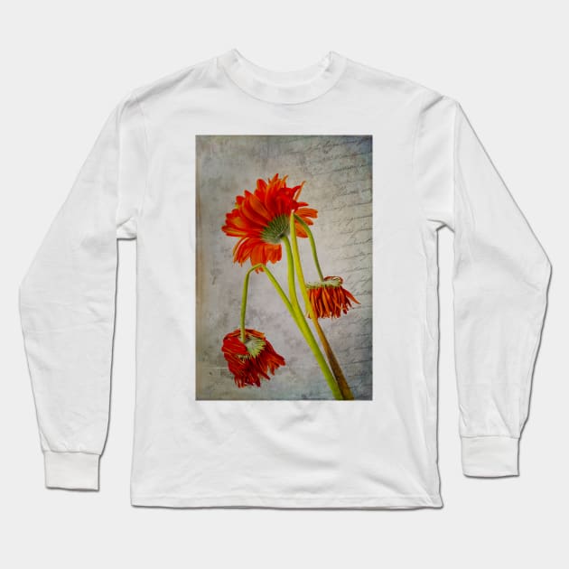 Wilting Flowers And Old Letter Long Sleeve T-Shirt by photogarry